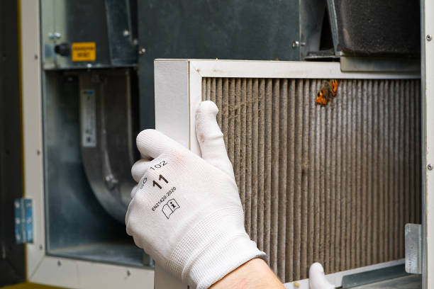 Best Air Duct Cleaning Near Me  in Hugo, MN