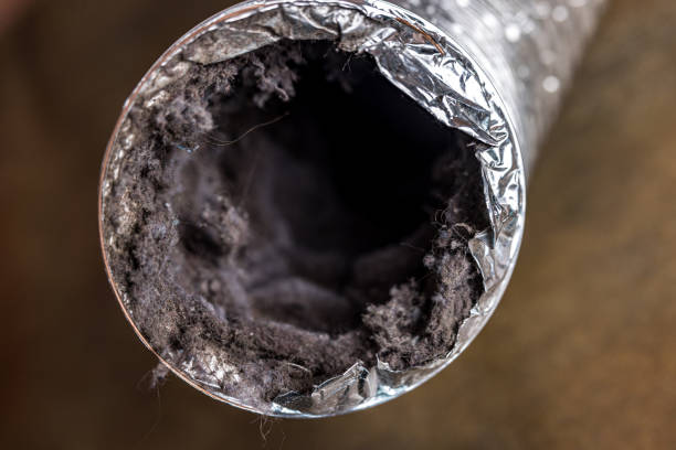 Best Home Air Vent Cleaning  in Hugo, MN