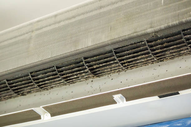 Affordable HVAC Duct Cleaning in MN